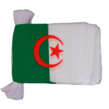 bandera decorativa de la bandera del empavesado del mini poliéster de Argelia