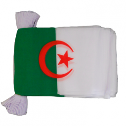 Decorative Mini Polyester Algeria Bunting Banner Flag