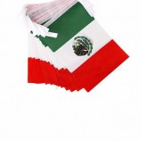 国際日のための14 * 21cmの長方形のメキシコの旗布の旗