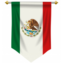Wholesale Mexico fan pennant flag for office