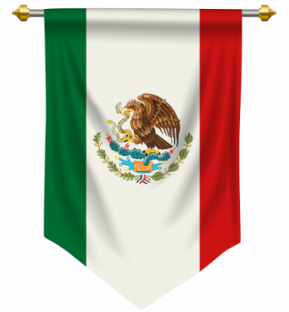 wholesale mexico fan pennant flag for office