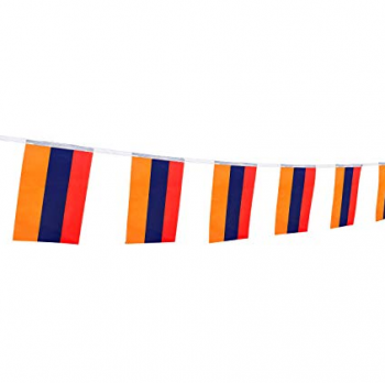 Venda quente personalizado mini bandeira bunting Armênia