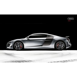 kundenspezifisches hochwertiges Audi R8 Gt 3 24x36 Plakat-Fahnengroßhandelsfoto