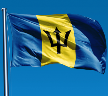 promotion barbados country flag polyester fabric national barbados flag