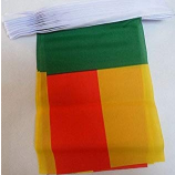 bandera del empavesado de benin poliéster bandera nacional de cuerda de benin