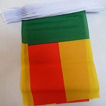bandera del empavesado de benin poliéster bandera nacional de cuerda de benin