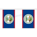 Belize-Schnur 10 Flaggen-Polyester-Fahnenmaterial - 3 m (10 ') lang