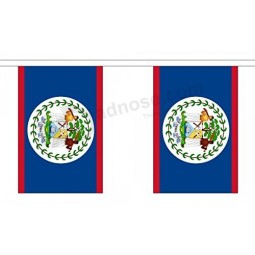 Belize String 10 Flag Polyester Material Bunting - 3m (10') Long
