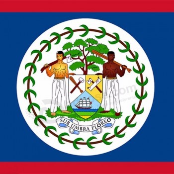 billige kundenspezifische nationalflaggen belize country flag