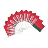 Wit-Rusland Wit-Rusland polyester land vlaggen bureau buiten zwaaien parade (12-pack hand vlag)