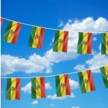 Sports Events Bolivia Polyester Country String Flag
