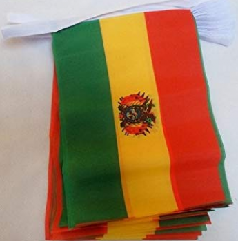 Decorative Mini Polyester Bolivia Bunting Banner Flag