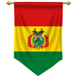 吊り下げ用の装飾的なボリビアの国旗