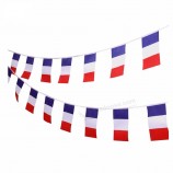 aangepaste snelle levering frankrijk franse vlaggen bunting