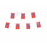 spätestes kundenspezifisches internationales Festival, das Norwegen-Flaggenflagge feiert