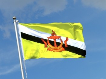 China Supplier Hot Product Custom Polyester Fabric Brunei Flags