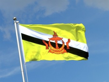 China lieferant Heißes produkt benutzerdefinierte polyestergewebe brunei flags