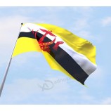 Tecido de poliéster bandeira brunei personalizado impressão bandeira nacional de diferentes países