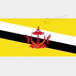 China Factory Custom High Quality Sublimated Printing Brunei Country Flag