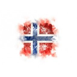 Quadrat Grunge Flagge. Illustration der Flagge von Bouvetinsel