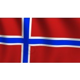 vlag van bouvet eiland. officiële vlag zachtjes zwaaiend in de wind