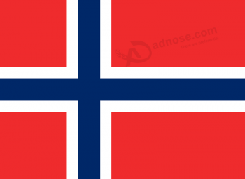 Großhandel benutzerdefinierte hochwertige Bouvetinsel Flagge