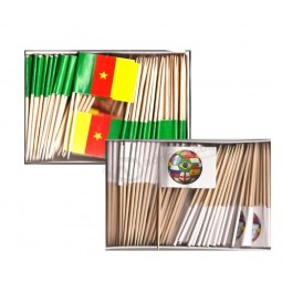 benutzerdefinierte Mini Kamerun und Fußball Zahnstocher Großhandelsflaggen