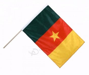 Camerun sventolando la bandiera, bandiera rossa gialla verde tenuta in mano