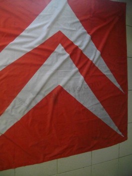high quality citroen flag with any size