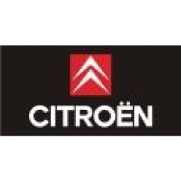 Großhandel benutzerdefinierte hochwertige Citroen schwarze Flagge
