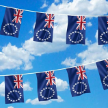 decoratieve mini polyester kok eilanden bunting vlag banner