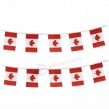 decorazioni in poliestere bandiera canada stamina all'ingrosso