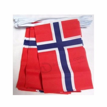 Polyester benutzerdefinierte Dreieck Festival Dekoration Norwegen Flagge Ammer