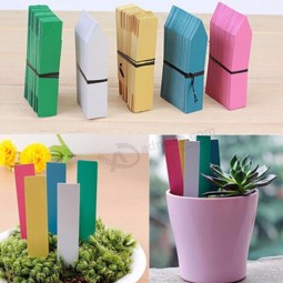 Wholesale Reusable PVC Plants Hang Tag Labels Tree Fruits Seedling Garden Flower Pot Plastic Tags Sign Classification Tools