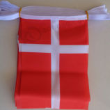 China supplier Denmark string flag bunting manufacturer