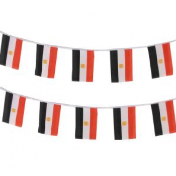 Decorative polyester Egypt country bunting flag