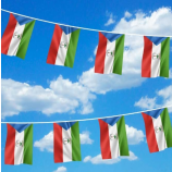 装飾赤道ギニア国旗ストリング赤道ギニア旗布バナー