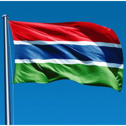 Polyester fabric Gambia country flag for national Day