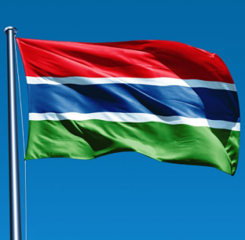 Polyester fabric Gambia country flag for national Day