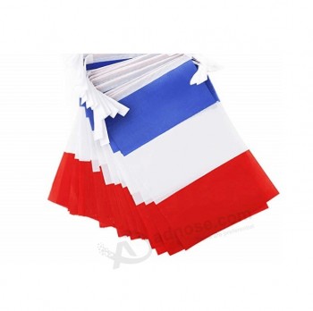 Hersteller maßgeschneiderte Polyester Frankreich String Flagge