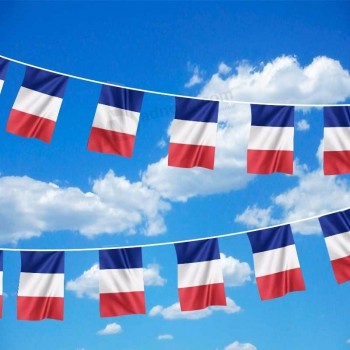 mini bandiera decorativa all'aperto della stamina della Francia su ordinazione