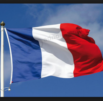 China Lieferant Dekoration Feier Flagge Frankreichs
