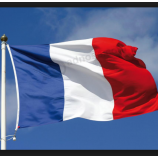 proveedor de china decoración celebración bandera de francia