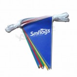 high quality promotion triangle string banner cheap world flag bunting