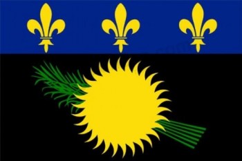 guadeloupe flag 3 'x 5' - französische region von guadeloupe flaggen 90 x 150 cm - banner 3x5 ft