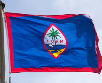 熱い販売グアムバナーフラググアム国旗
