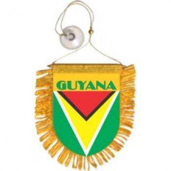 Großhandel benutzerdefinierte hochwertige Guyana Auto Auto Mini Banner