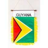 wholesale custom high quality guyana - window hanging flag