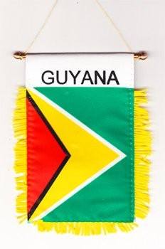 groothandel custom hoge kwaliteit guyana - venster opknoping vlag