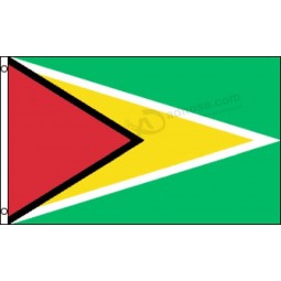 Wholesale custom high quality Guyana Flag 2x3ft Poly